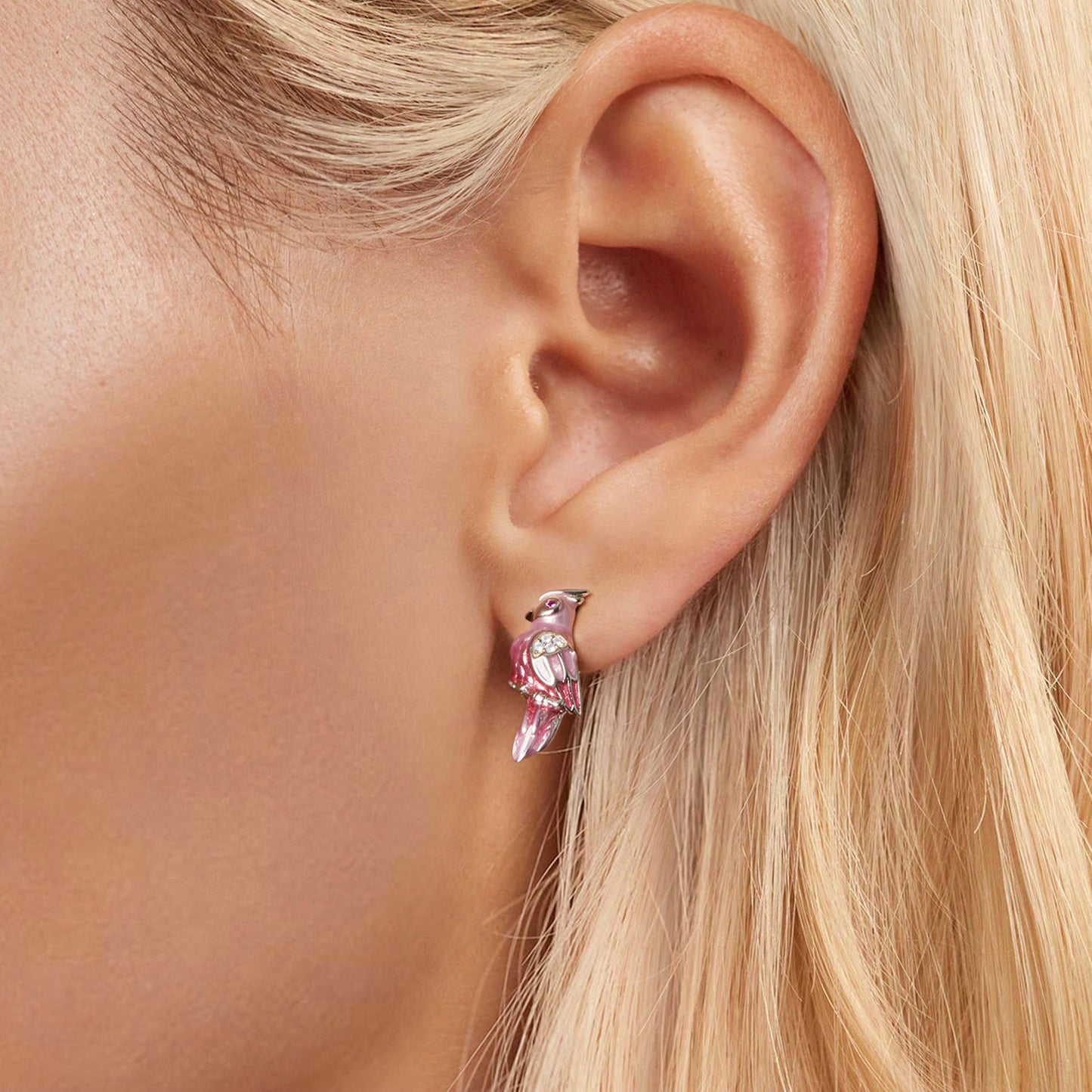 Stud Earrings Pink Parrot Bird S925 Silver